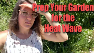 Quick Ways to Protect Your Garden NOW for the Coming Heat Wave