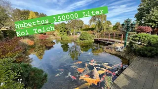 150000 Liter / 13000 Liter Filtervolumen. Ein mega Projekt! Hubertus Koi Teich!