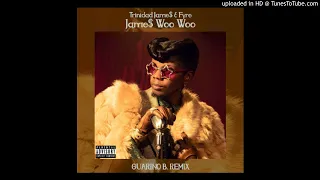 Trinidad Jame$ & Fyre - Jame$ Woo Woo Remix Reggaeton By Guarino B.