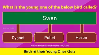 Birds & their Young Ones Quiz | General Knowledge Quiz | #GK | Young Ones of Birds in English