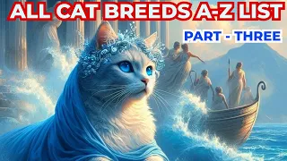 Cat Breeds Guide A - Z  List ( PART - 3) #catbreeds #cats