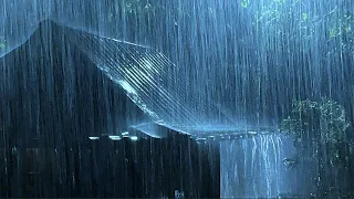 Calming Sound of Rain in Foggy Forest 1 Hour Rain Drops Falling From Trees 1080p