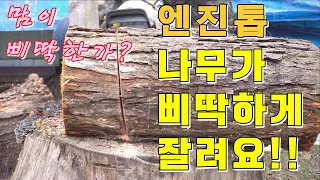 나무가 삐딱하게 잘리는 엔진톱 원인과 해결 방법