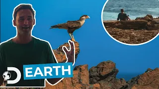 Chapter 2 Blue Lizard Effect – Earth ⛰️💛 | Aruba Tourism X Discovery Channel UK