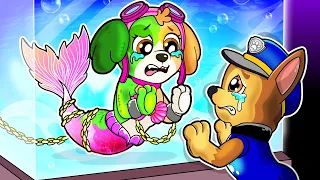 Paw Patrol The Mighty Movie | Why Mermaid SKYE Turn Into Zombie?! SKYE Sad Story | Rainbow Friends 3