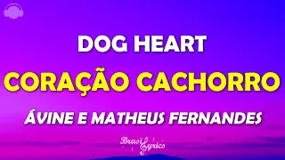 Coração Cachorro - Dog Heart - Ávine e Matheus Fernandes Lyrics (Letra/Legend/Portuguese/English)