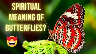 🦋🦋Seeing BUTTERFLIES Around You Lately? - The Spiritual Symbolism of BUTTERFLIES