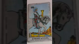 The Knight of Cups as Feelings in a Love Reading