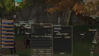 Lineage 2 Server Paagrio - amorice play