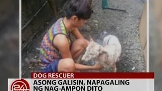 24 Oras: Asong galisin, napagaling ng nag-ampon dito