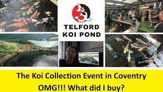 T.K.P.  Telford Koi Pond - Video 115 – The Koi Collection Event - OMG!!! What did I buy???