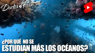 ¿Por qué NO SE ESTUDIAN MÁS LOS OCÉANOS? 🐟