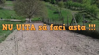 Uite ce trebuie să le faci pomilor fructiferi in primul an de la plantare !!!