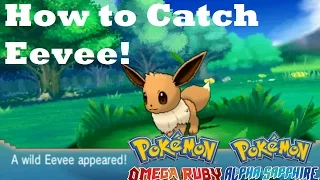 Pokemon Omega Ruby and Alpha Sapphire HOW TO CATCH/FIND EEVEE!