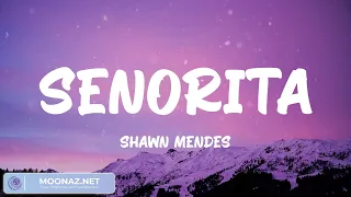 Señorita - Shawn Mendes | Ed Sheeran, One Direction, Ali Gatie (Lyrics)