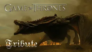 Game of Throne Dragons Tribute