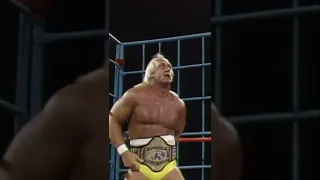 Hulk Hogan vs King Kong Bundy Cage Match