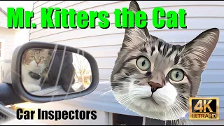 Carf CatsMr. Kitters the Cat Must see TV! 📣🐈🍿📺 Car Inspectors!🚙