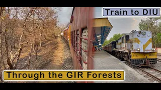 JUNAGARH to DELVADA : Meter Guage Train Journey to DIU via Gir Forests | March 2022