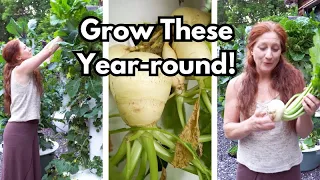 How to grow ROOT VEGETABLES on an Aeroponic Tower Garden.