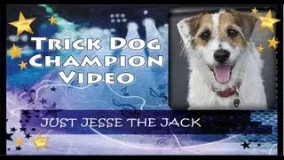Trick Dog Champion Just Jesse the Jack: First JRT TDCH