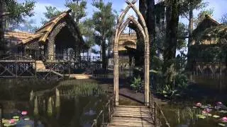 ESO Murkmire Adventure Zone Preview - Quakecon 2014