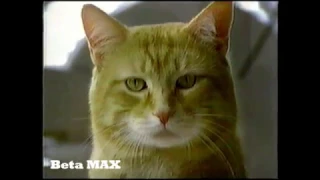 The Best Morris the Cat and 9 Lives Ad 1985