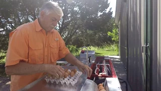 Egg Washer 3000 Upgraded!