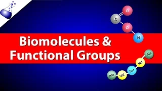 Biomolecules and Functional Groups