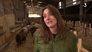 Notre-Dame-des-Landes : Zad, un an après