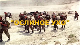 Война. Вторая чеченская. Бои за высоту "Ослиное ухо".