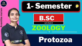 Protozoa | B.sc Zoology 1st Semester | Avantika Ma'am |