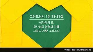 매일성경 (열매맺는매일묵상) 154 / 고린도전서 1장 18-31절