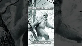 СУЩЕСТВУЕТ ЛИ ЙЕТИ?