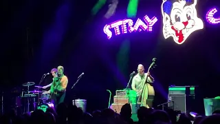 Stray Cats - Stray Cat Strut. Manchester. 25 June 2019