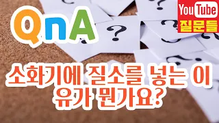 소화기에 질소를 넣는 이유가 뭔가요?