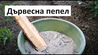 Дървесна пепел