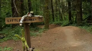 LIttle Monkey/ flow trail, mountain biking Sandy Ridge Trail System, Oregon