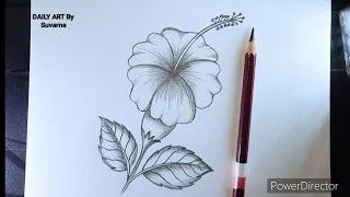 How To Draw a 🌺 Hibiscus Flower | Hibiscus Flower Drawing