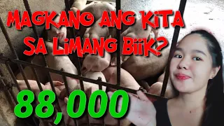 MAGKANO ANG KITA SA LIMANG BIIK/BABOY?MAGKANO DIN ANG GASTOS AT TOTAL INCOME SA LIMANG BIIK OR BABOY