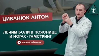 ЛЕЧИМ БОЛИ В ПОЯСНИЦЕ И НОГАХ - ГАМСТРИНГ. Циванюк Антон Владимирович