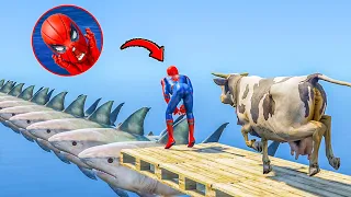 GTA 5 CRAZY Ragdolls Red Spiderman Jumps/Fails Shark Bridge (Euphoria Physics Funny Moments)