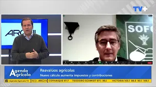 Entrevista a Carlo Rojas - Secretario ejecutivo de SOFO en Agenda Agrícola