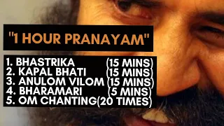 1 Hour Pranayam Bhastrika, Kapal Bhati, Anulom Vilom 15 Minutes, Bharamari 5 min and 20 Om Chants