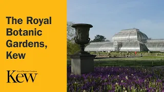 The Royal Botanic Gardens, Kew