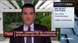 Former FDA commissioner on President Donald Trump terminating relationship with WHO