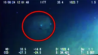 10 Mysterious Underwater Creatures Caught on Tape