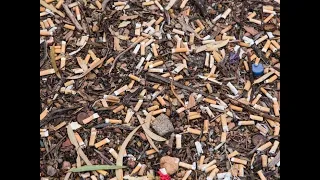How Cigarette Butts Are Recycled Into Toys | World Wide Waste
