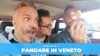 Pandare in Veneto - Puntata 4/5