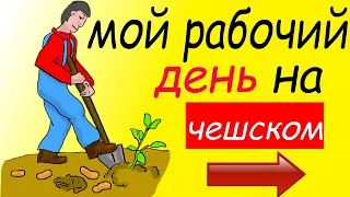 Мой рабочий день на чешском